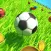 Fancy Football Boy Reveal