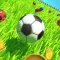 Fancy Football Boy Reveal