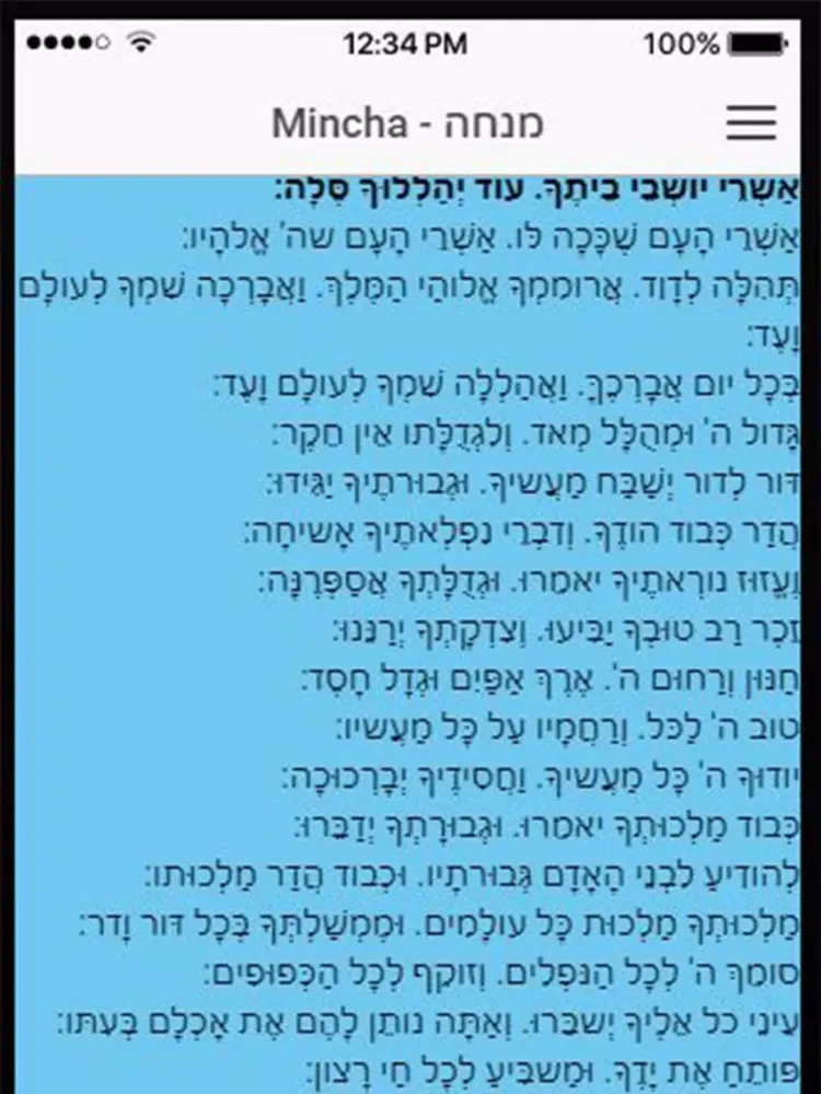 Zrzuty ekranu Gavi's Siddur iPad 