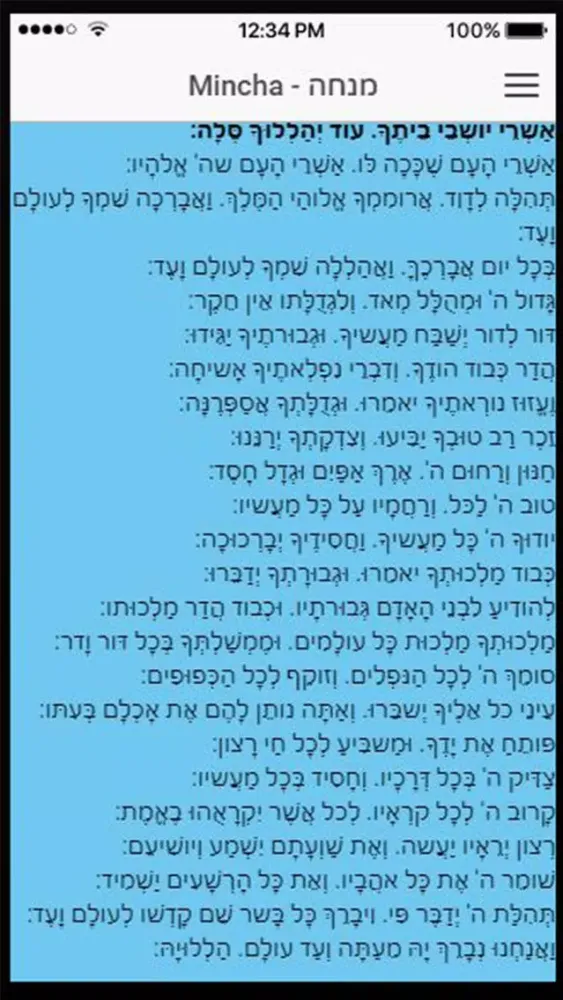 Zrzuty ekranu Gavi's Siddur