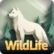 WildLife : Breath of Soul WildLife : Breath of Soul