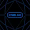 CNBLUE OFFICIAL LIGHT STICK