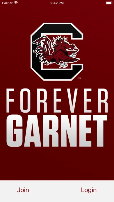 Screenshot di Forever Garnet