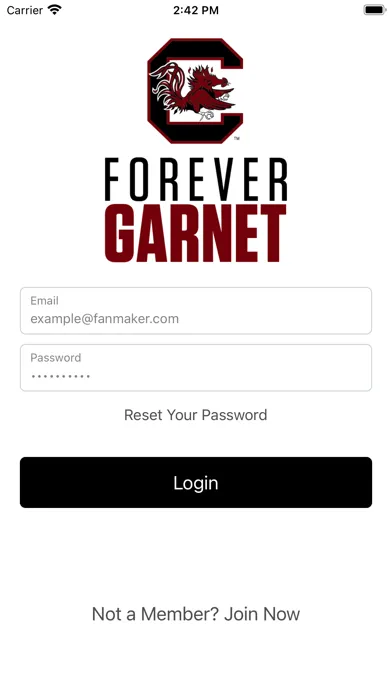 Screenshot di Forever Garnet
