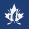 Editor In Leaf