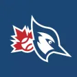Jays Journal