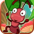 Bouncing Bug Adventure - Bug's Escape Life on the Run