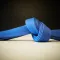 BJJ Blue Belt Requirements 2.0