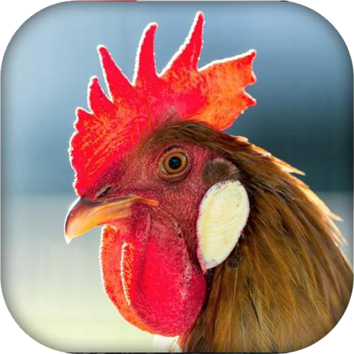 Real Animal sounds