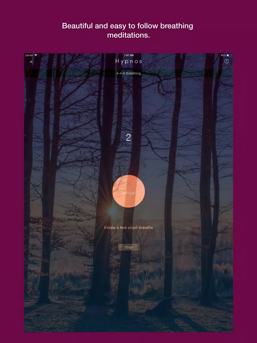 Hypnos - Noises for sleep iPad  سکرین شاٹس