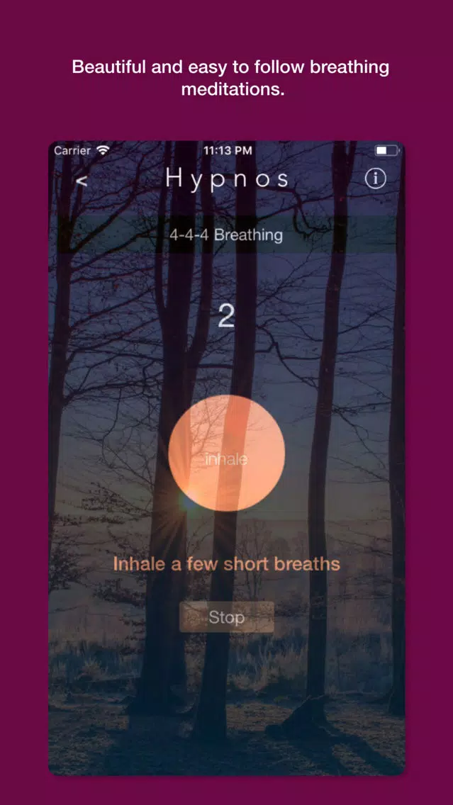 Hypnos - Noises for sleep سکرین شاٹس