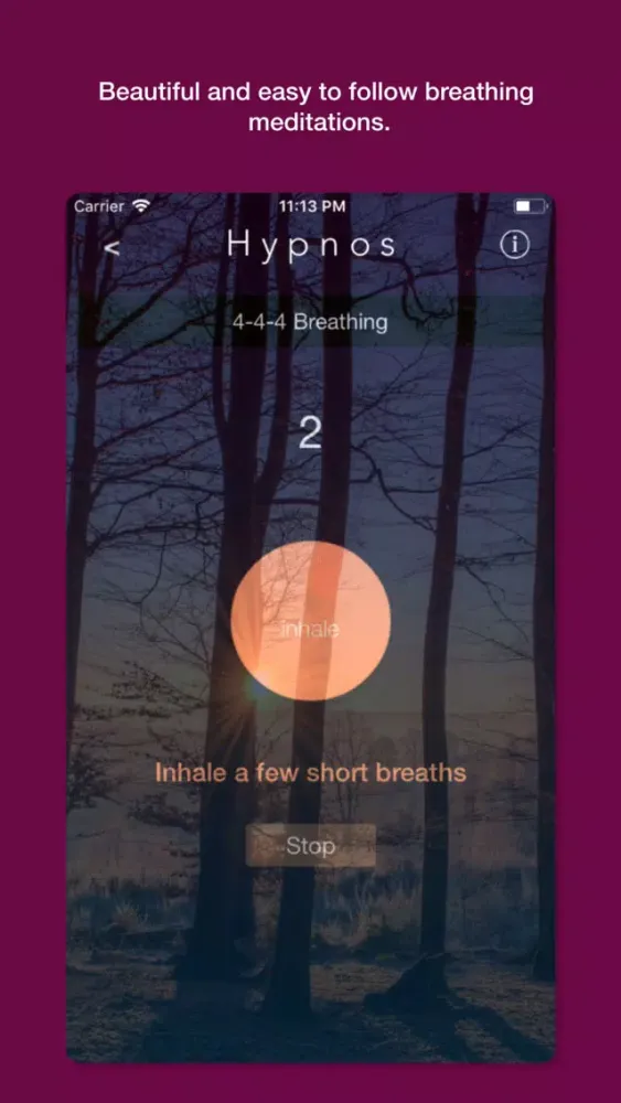 ภาพหน้าจอของ Hypnos - Noises for sleep