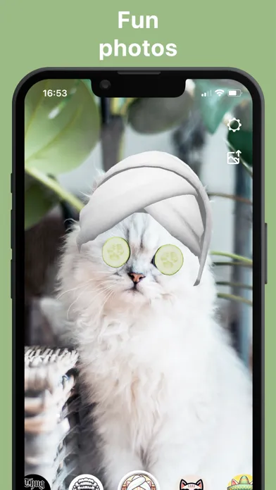 Ảnh chụp màn hình của Pawtastic: Live Cat Effects