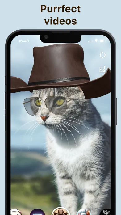 Ảnh chụp màn hình của Pawtastic: Live Cat Effects