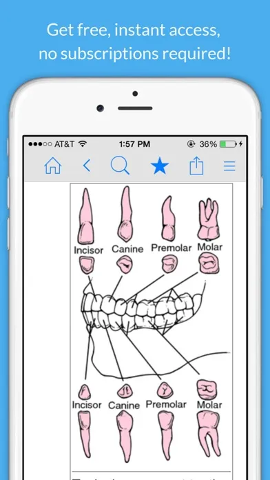 Dental Dictionary by Farlex Screenshots
