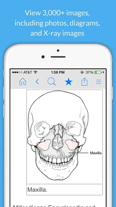 Dental Dictionary by Farlex Screenshots