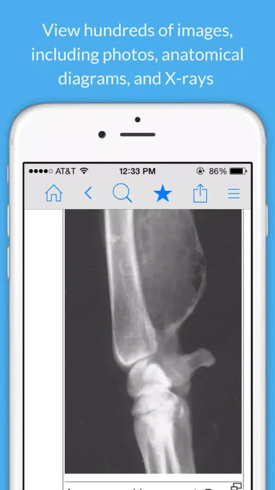 Capturas de pantalla de Veterinary Dictionary - Large & Small Animal Guide