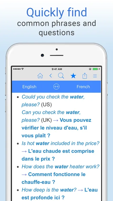 English-French Dictionary. スクリーンショット