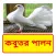 কবুতর পালন ~ Pigeon Farming