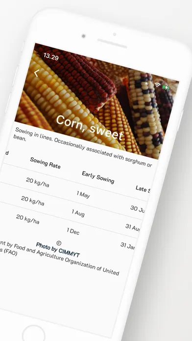 Zrzuty ekranu Crop Sowing Calendar Gardening
