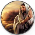 The Bible Stories