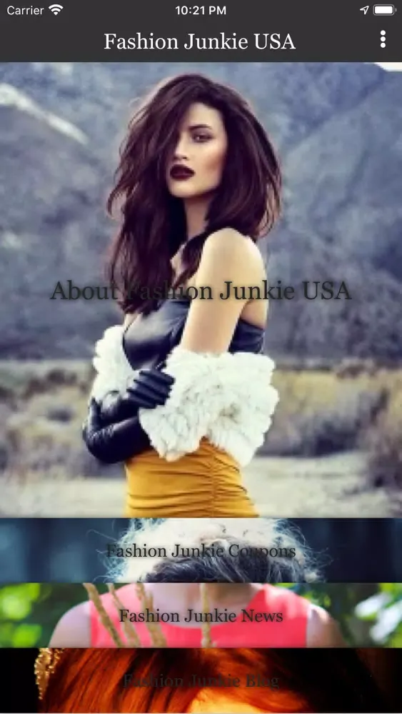 Captures d'écran de Fashion Junkie USA