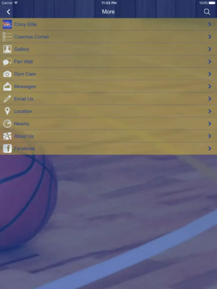 صور Nothin But Net. iPad 