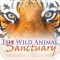 The Wild Animal Sanctuary