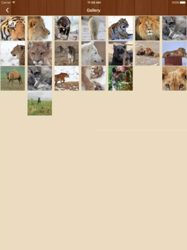 The Wild Animal Sanctuary iPad  スクリーンショット