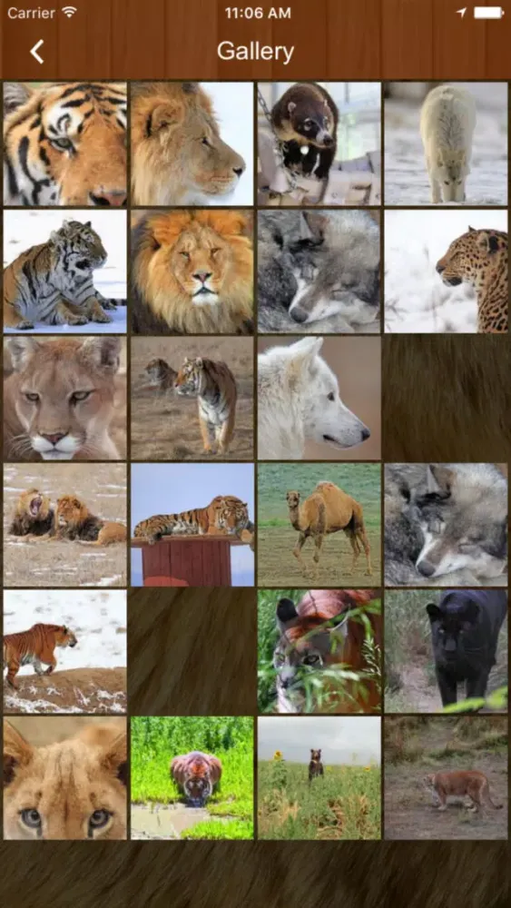 The Wild Animal Sanctuary スクリーンショット