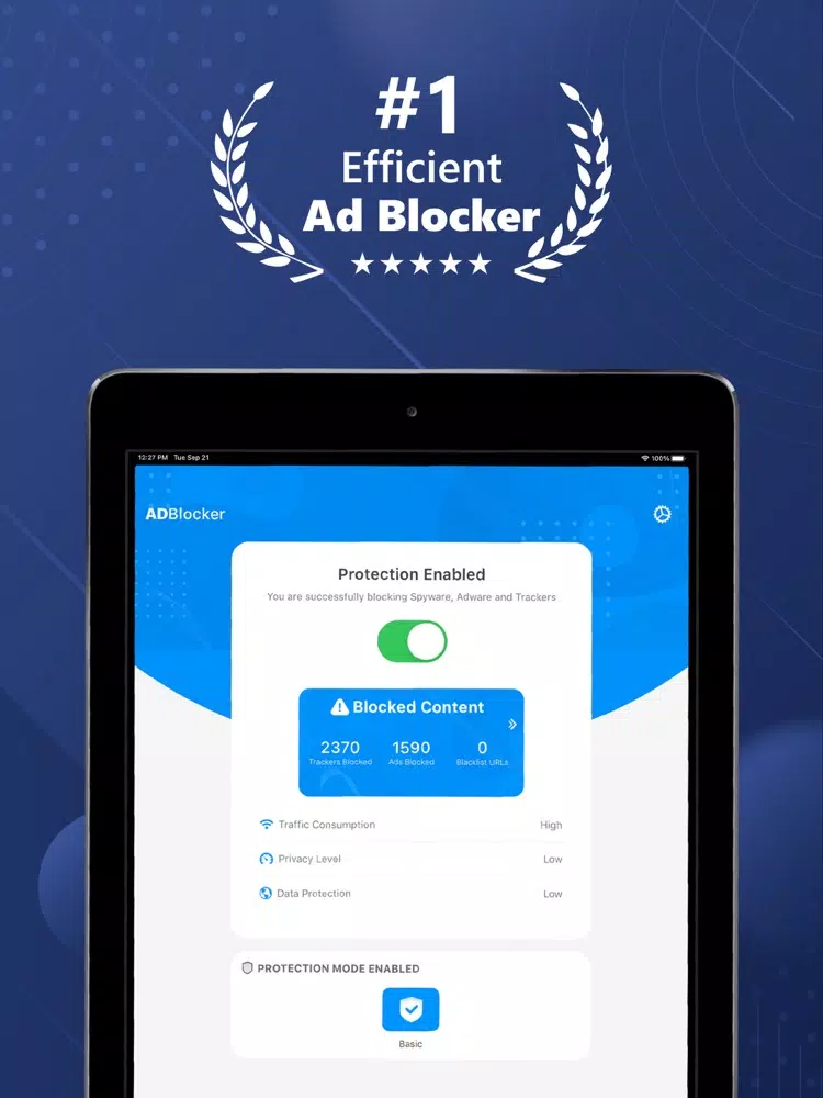 VPN Shield + Safari AD Blocker iPad  스크린샷