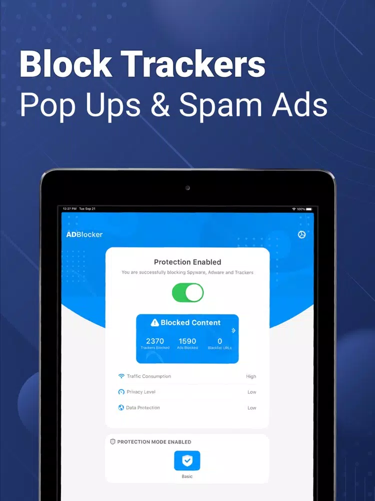 VPN Shield + Safari AD Blocker iPad  스크린샷