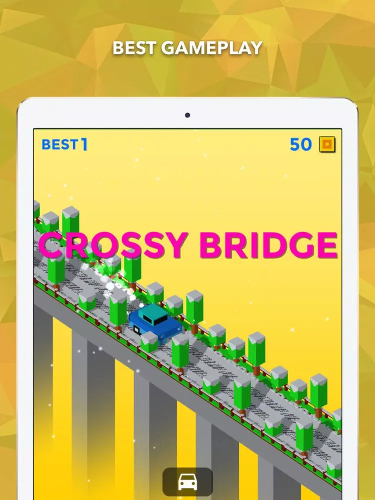 Screenshot di Start Link: Bridge iPad 