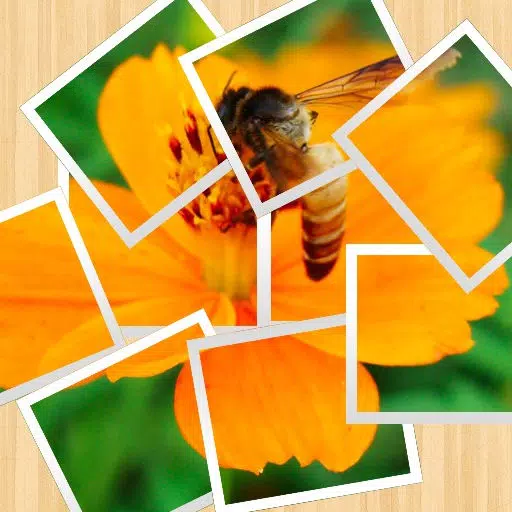 Pictify Photo Collage