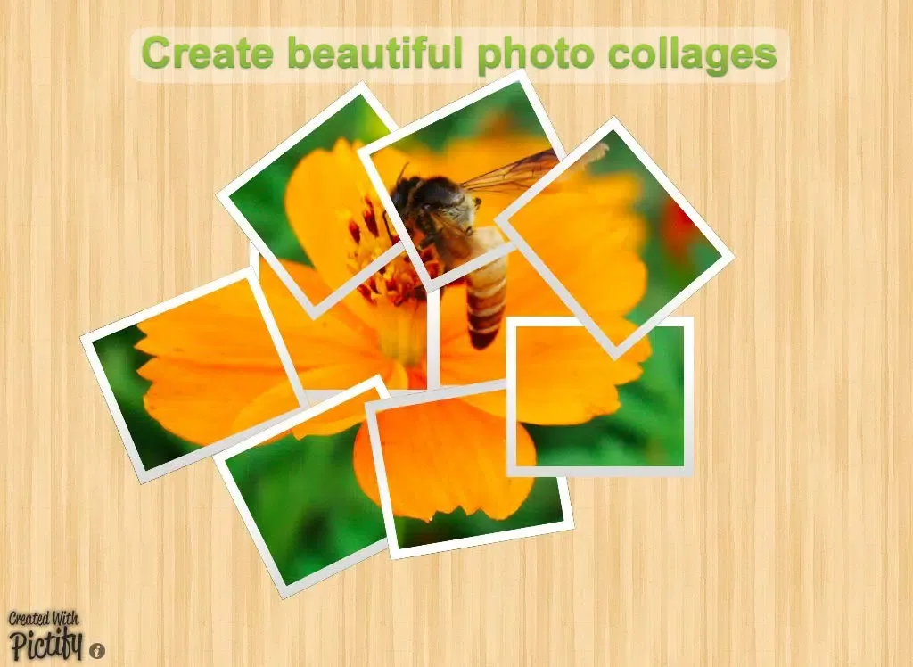 Pictify Photo Collage iPad  Screenshots