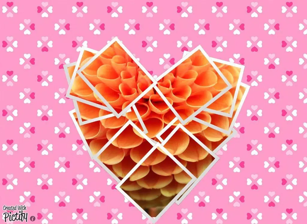 Pictify Photo Collage iPad  Screenshots