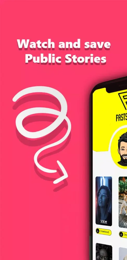 FlashSnap: View and Save Story Screenshots