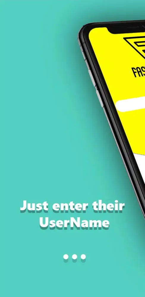 FlashSnap: View and Save Story Screenshots