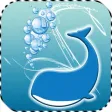 Smarty Whale
