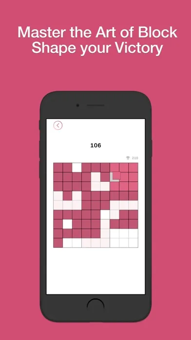 TetraBlock - Block by Block Screenshots