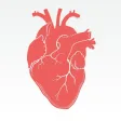 Cardio Tools
