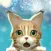 Kitty Cat Resort