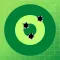 Ballistics Report