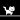 Super Cute Cat