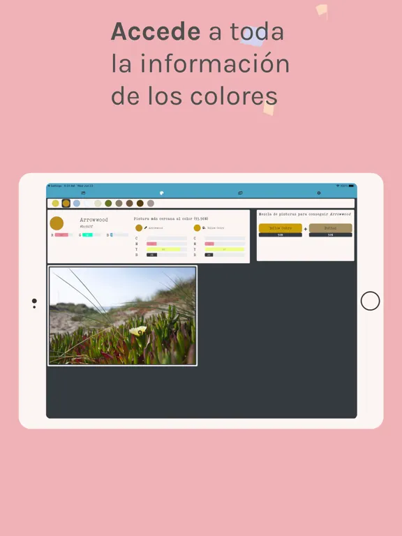 Colores y pinturas iPad 應用截圖
