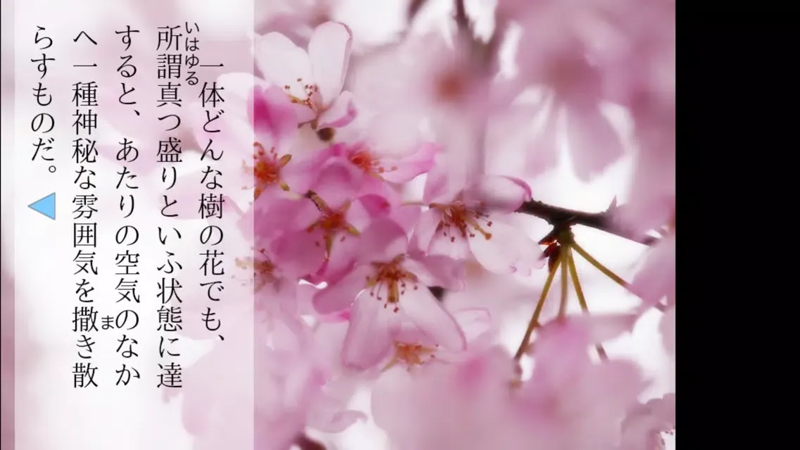 Screenshot di Under cherry tree HD
