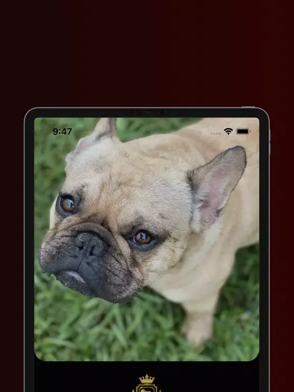 Capturas de pantalla de First Class Canine Services iPad 