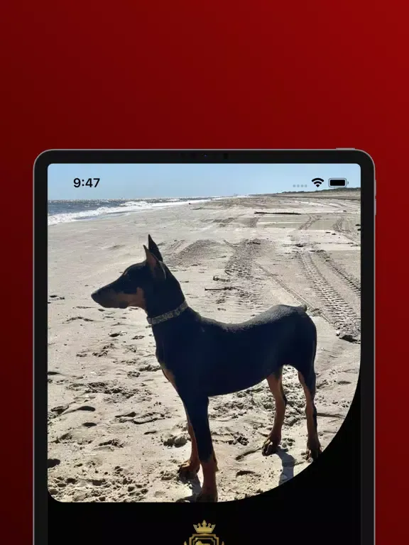Capturas de pantalla de First Class Canine Services iPad 