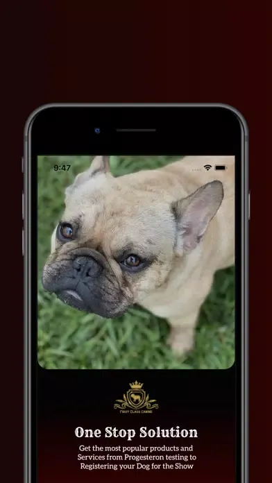 Capturas de pantalla de First Class Canine Services
