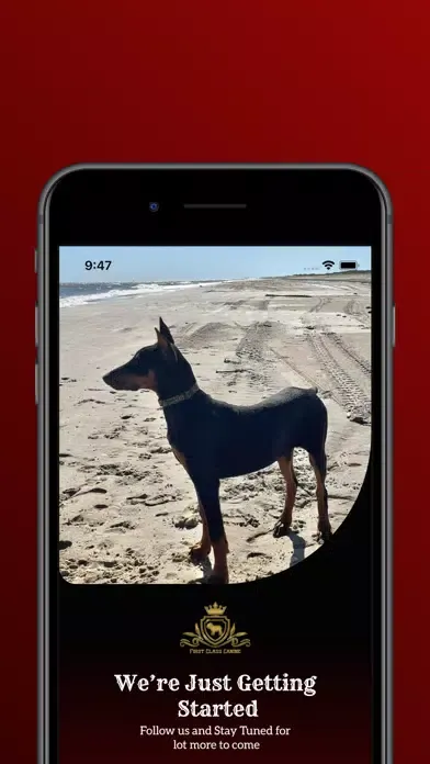 Capturas de pantalla de First Class Canine Services